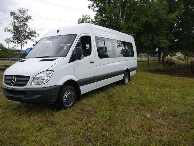 Mercedes-Benz Sprinter  Самара 2014 1